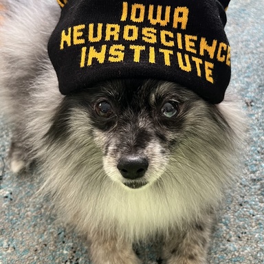 Sara Mitchell's dog, Wicket
