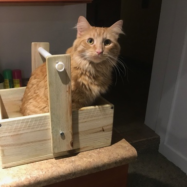 hanna cat