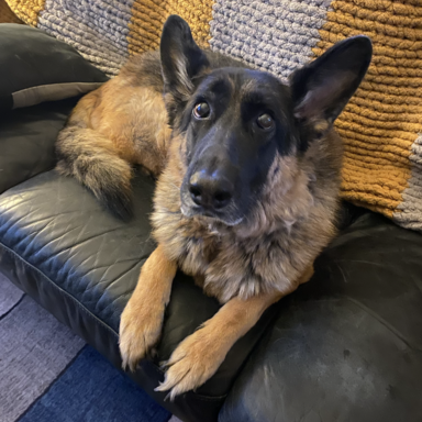 Lucy